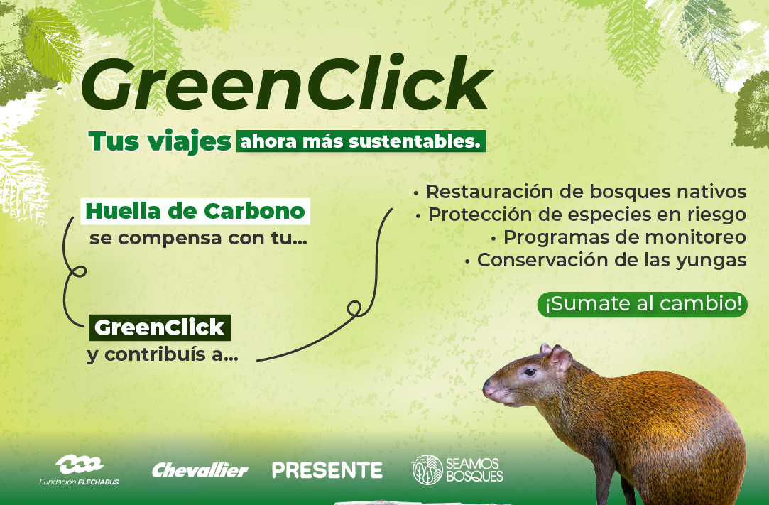 Descripción imagen móvil